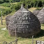 Lekdushi - Shehu Tepelene