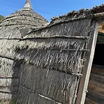 Lekdushi - Shehu