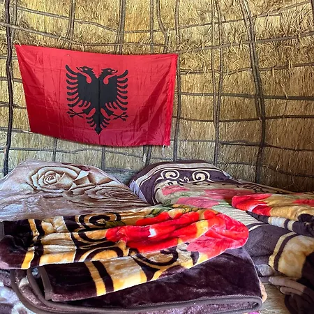 Lekdushi - Shehu * Tepelene