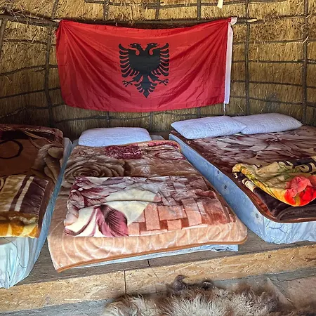 Lekdushi - Shehu Tepelene