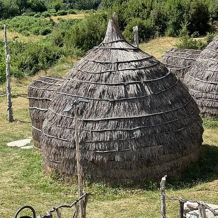 Lekdushi - Shehu Tepelene