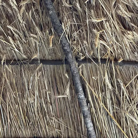 Lekdushi - Shehu * Tepelene