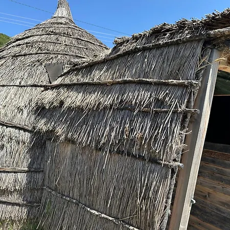 Lekdushi - Shehu